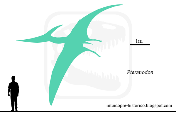 Mundo Pré-Histórico: Pteranodonte